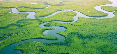 විප්ලවීය කෘෂිකාර්මික වාරිමාර්ග: PVC පයිප්ප සහ උපාංගවල කාර්යභාරය